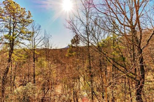 a forest with trees and the sun in the sky at New Mtn Views Hot Tub Arcade Chess in Sautee Nacoochee