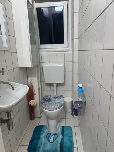 a small bathroom with a toilet and a sink at Urlaub mit Bergblick - Ferienhaus in Bad Bleiberg in Bad Bleiberg