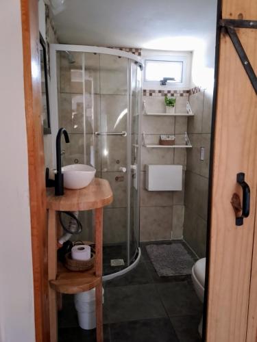 a small bathroom with a shower and a sink at Casa Montanara in El Chalten