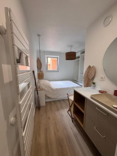 a bedroom with a bed and a sink and a mirror at Appartement Cosy Bord de mer in Le Pradet