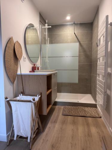 a bathroom with a shower and a sink and a mirror at Appartement Cosy Bord de mer in Le Pradet