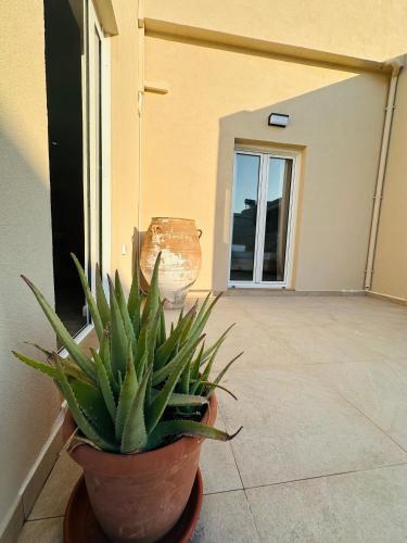 a plant in a pot sitting on a patio at SitiaHights Apartment in Sitia
