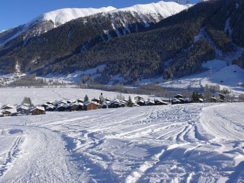 冬のSwiss Chalet on slopes up to 10pax!の様子