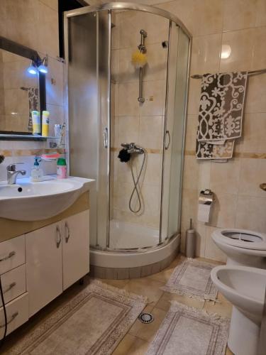 a bathroom with a shower and a sink and a toilet at Center Luxury Apartment in Tirana