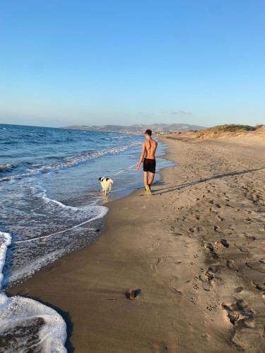 a man walking a dog on the beach at 100 m to the sea with air conditioning and speed WiFi in Marina di Sorso