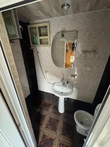 a bathroom with a sink and a mirror and a toilet at Borjomi Cozy Cottage in Borjomi