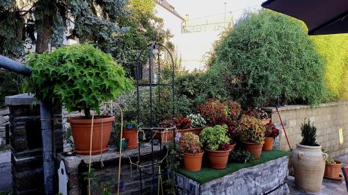 a bunch of potted plants sitting on a wall at T.H.NY Village Inn Cottage in Tihany