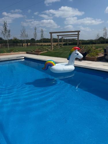 a plastic duck in a pool with a toy in the water at The Chiltern way getaway in Ipsden