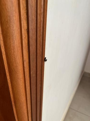 a close up of a wooden door next to a wall at Chez Léa Mariame in Malikounda