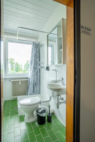 a bathroom with a toilet and a sink and a window at BacherlHouse - Apt Sickingerbach in Schörfling