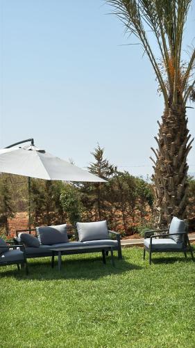 a group of chairs and an umbrella and a palm tree at Appartement avec jardin route Saïdia in Berkawe