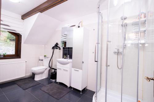 a bathroom with a shower and a toilet and a sink at Cabana Walter Busteni cu BBQ & Terasa Privata in Buşteni