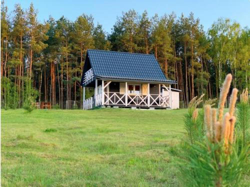 Domek Pod Sosnami