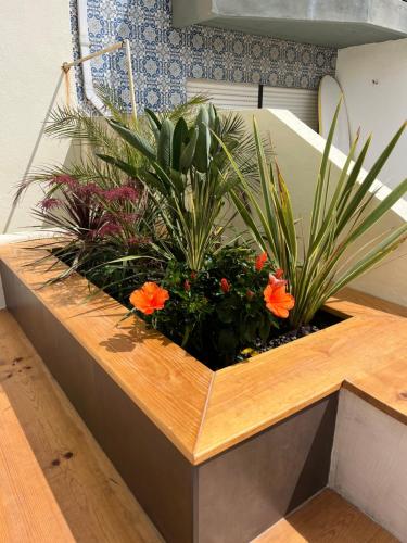 a wooden planter with flowers and plants in it at Apartamento familiar Praia Barra in Praia da Barra