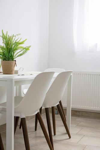 a white dining room table with white chairs and a plant at 75m2 Designer Apartment close to Bregenz in Lauterach