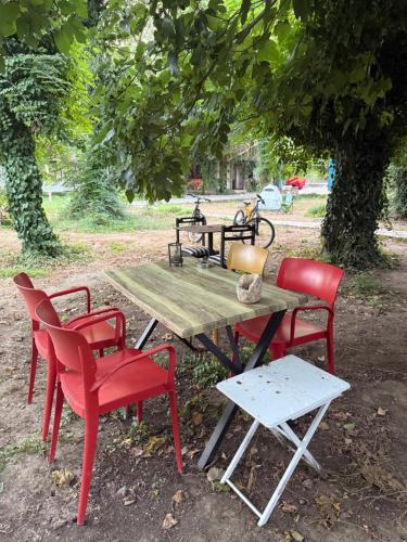 Zahrada ubytování Phaselis Park Camping