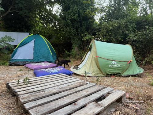 Fotografie z fotogalerie ubytování Phaselis Park Camping v destinaci Kemer
