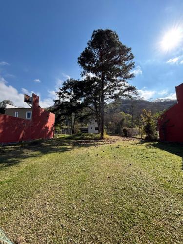 a large yard with a tree and a house at Refugio Brisa de Pino in Yala