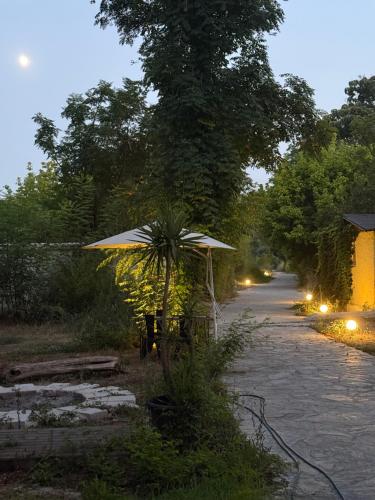 Fotografie z fotogalerie ubytování Phaselis Park Camping v destinaci Kemer