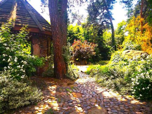 a stone path leading to a tree and a building at EXCL HOUSE in Warsaw with POOLS in Józefów