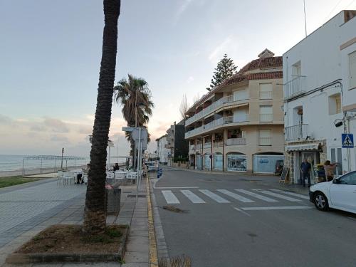 レス・カセス・ダルカナールにあるALCANAR DEL MARのヤシの木と建物のある街道