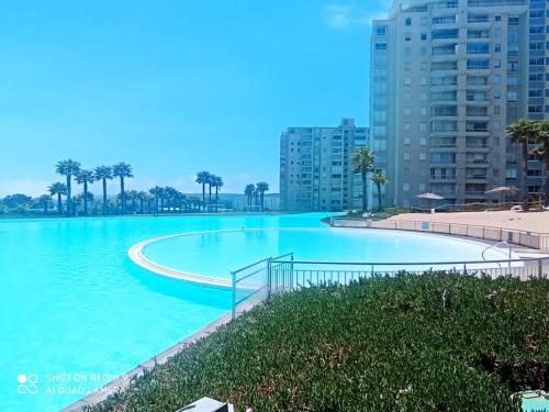 a large swimming pool with palm trees and buildings at Hermoso Departamento Algarrobo in Algarrobo