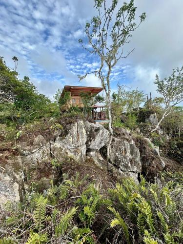 a house on top of a hill with rocks at Bamboo Cabin in San Cristobal
