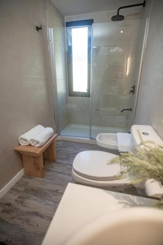 a bathroom with a shower and a toilet and a sink at Huellas de Chacras in Ciudad Lujan de Cuyo