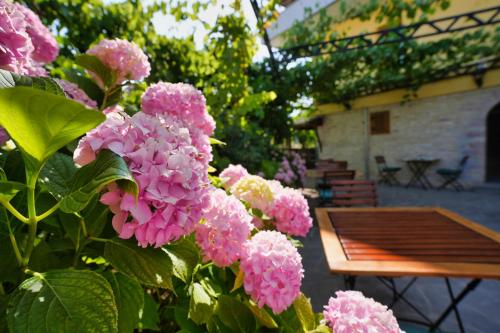 a bunch of pink flowers in front of a table at Palorto Traditional Hotel in Gjirokastër