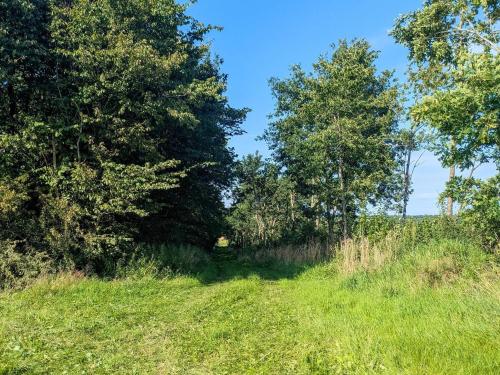 a path through a field with trees and grass at 6 person holiday home in Gram in Gram