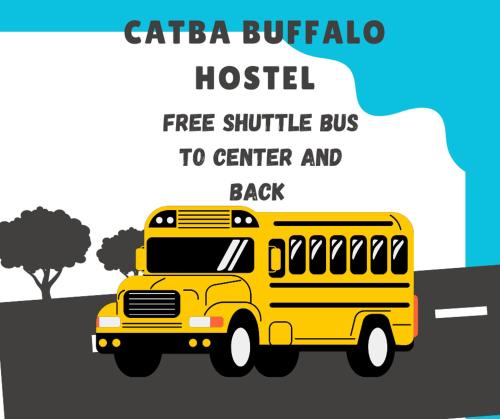 a yellow school bus driving down a road at Catba Buffalo Hostel in Cat Ba