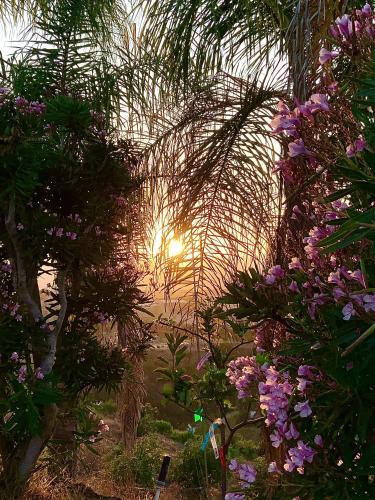 a view of the sunset from a garden with flowers at Vintoca Luxury Honeymoon Suite Farm Retreat in Oceanside