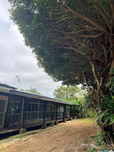 a train is parked next to a tree at Hostel あざみ庵よろん in Yoron