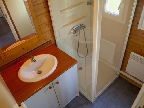 a bathroom with a sink and a shower at Chalet cosy - Vue sur l'étang avec terrasse - API-1-52-288 in Naucelle