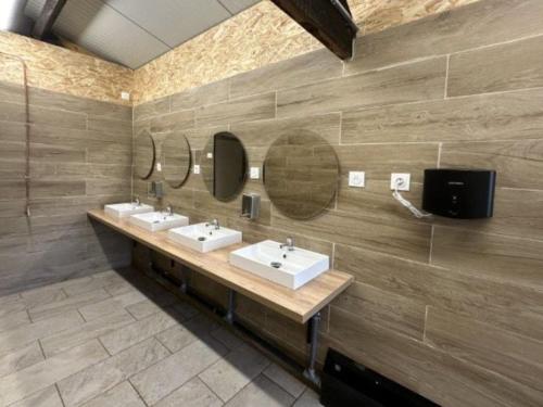 Koupelna v ubytování Maison à Jumièges avec Jacuzzi pour 8 pers. - API-1-52-635