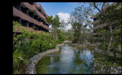a river in the middle of a city with buildings at Jungle Guardian - Rooftop Pool & Beach Club in Zona Hotelera Tulum in Tulum