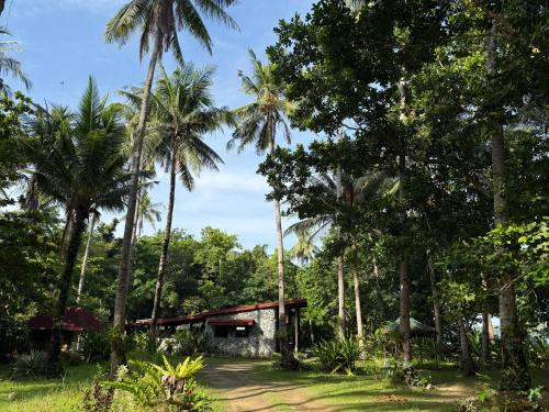 a house in the middle of a forest with palm trees at Kiao Beach in Anepahan