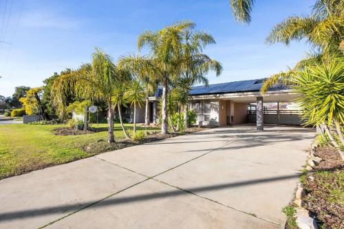 a house with palm trees in front of a driveway at Seednest Barossa Vineyard Escape in Tanunda