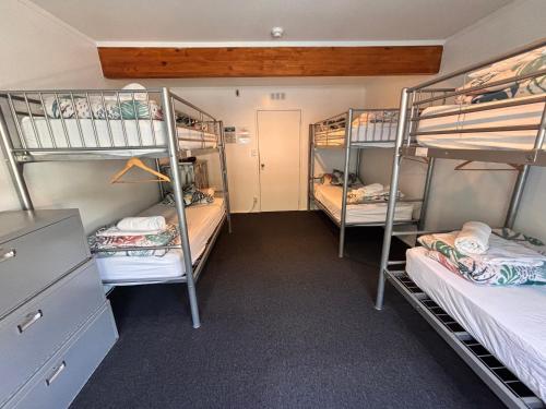 a dorm room with three bunk beds in it at Peppertree Lodge in Paihia