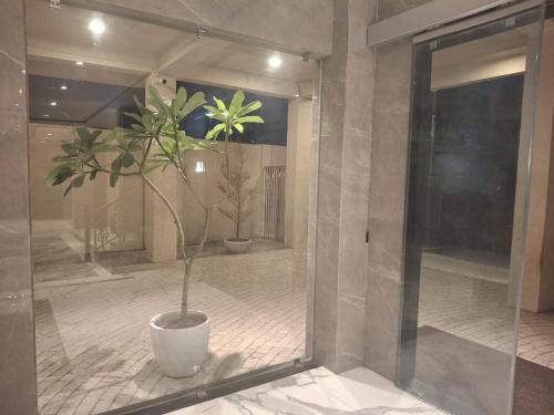 a plant in a pot in a room at SUMMER88 Boutique Hotel Azara, 4 Km from Airport, Near Kamakhya Temple in Guwahati