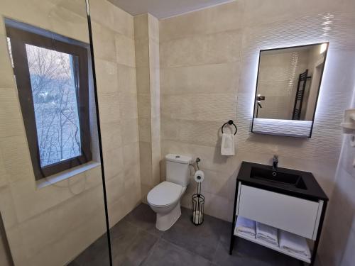 a bathroom with a toilet and a sink and a mirror at Bujorul Oltului in Călimăneşti