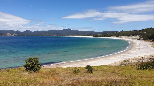 a view of a beach with the ocean at Boho Hill Apartment - Great Barrier Island Escape in Port Fitzroy