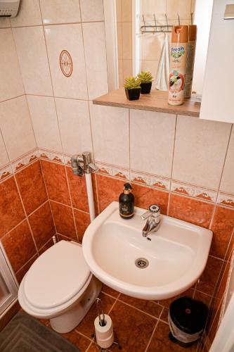 Koupelna v ubytování Hajnal Apartman