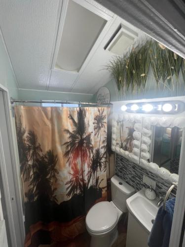 Et badeværelse på Cozy Private Cottage Only 5 miles from Disney