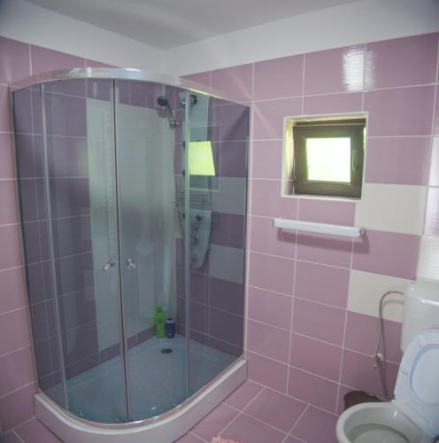 a pink bathroom with a shower and a toilet at Villa Tasaul in Năvodari
