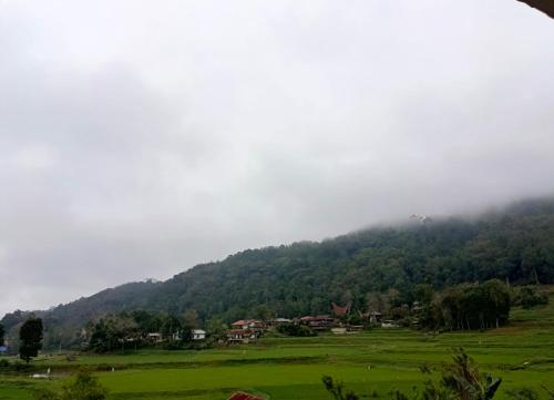 a misty mountain with houses in a green field at Toraja Maruang Homestay in Rantepao