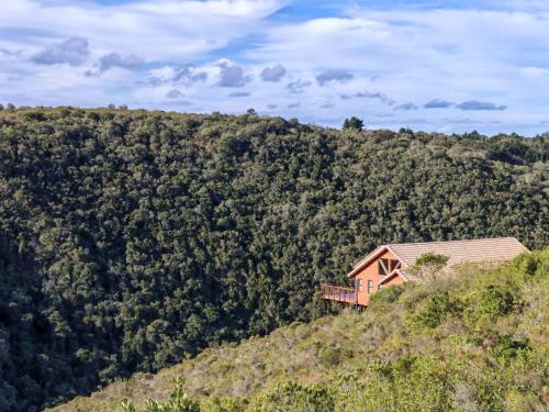 a house on the side of a hill with trees at Loerie's Rest Cabin in Victoria Bay