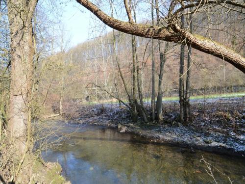 a stream in a wooded area with trees and water at Cozy Holiday home in Theux in Theux