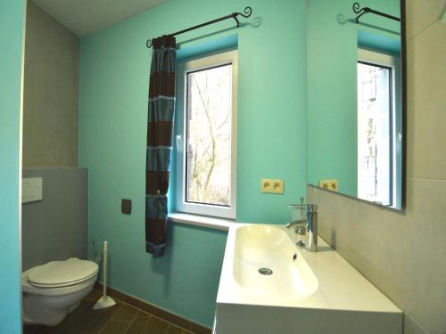 a bathroom with a white sink and a toilet at Cozy Holiday home in Theux in Theux