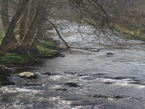 a stream of water with rocks and trees at Cozy Holiday home in Theux in Theux
